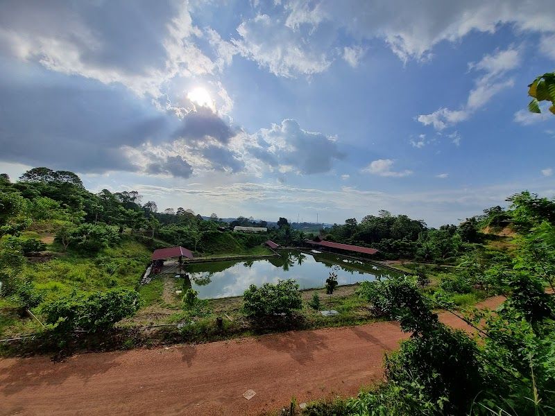 Relaxing at Tanah Merah Waterfall