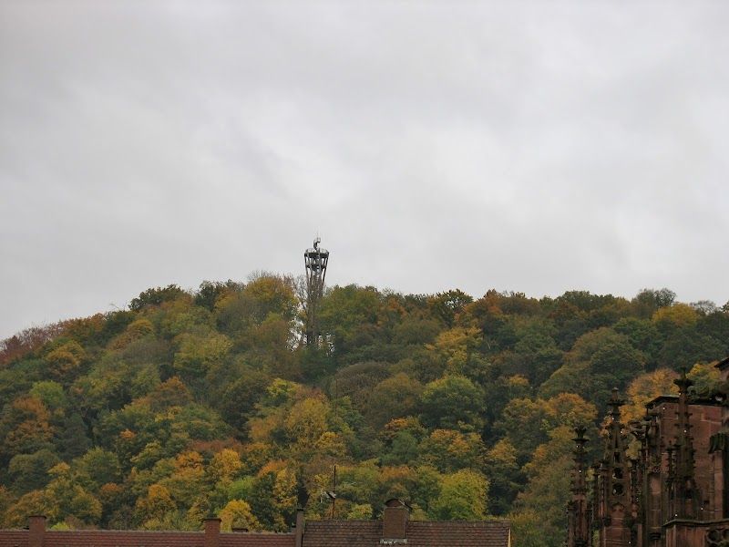Explore Freiburg Münster (Freiburg Cathedral)