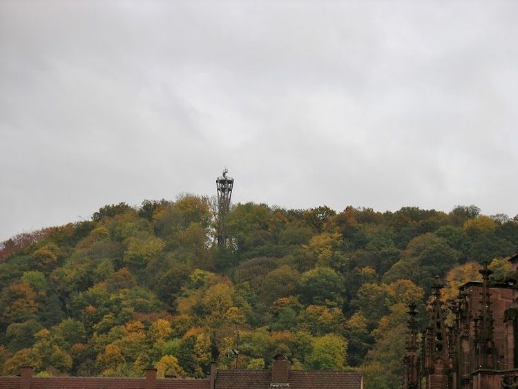 Explore Freiburg Münster (Freiburg Cathedral) - Freiburg im Breisgau - Germany