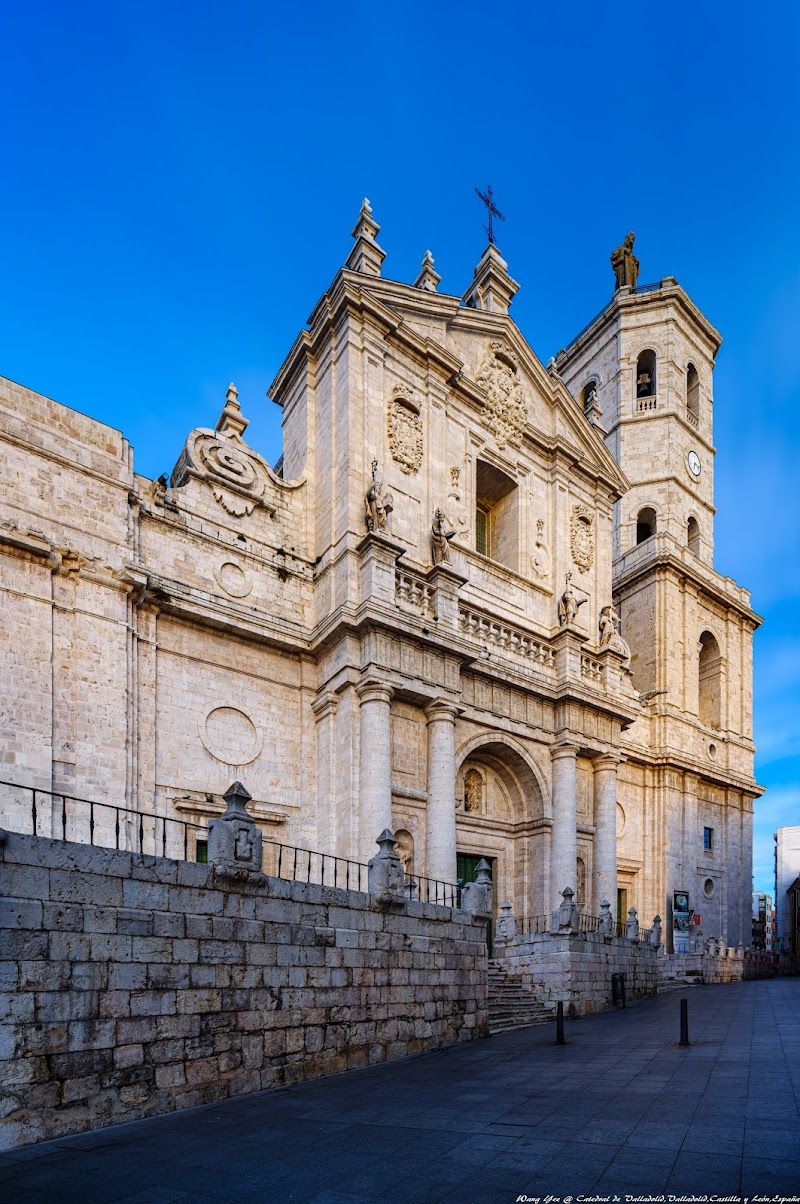 Tour the Valladolid Cathedral and Historical Center