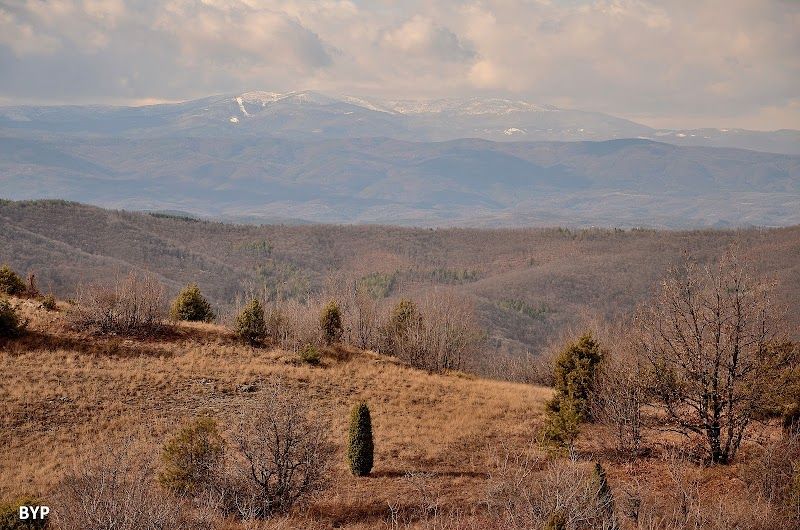 Hike on Mount Osogovo