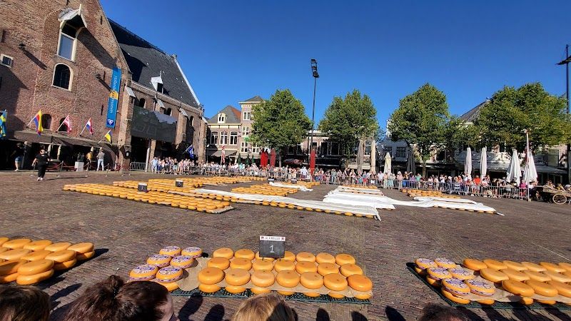 Visit the Alkmaar Cheese Market