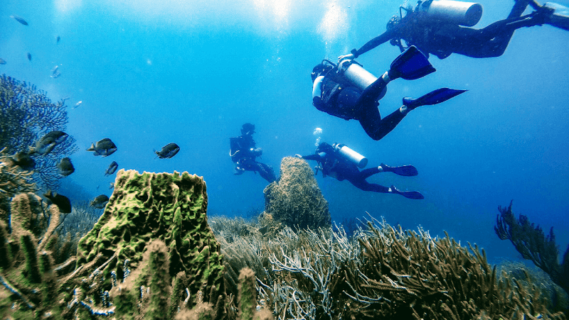 Scuba diving or snorkeling in Taganga