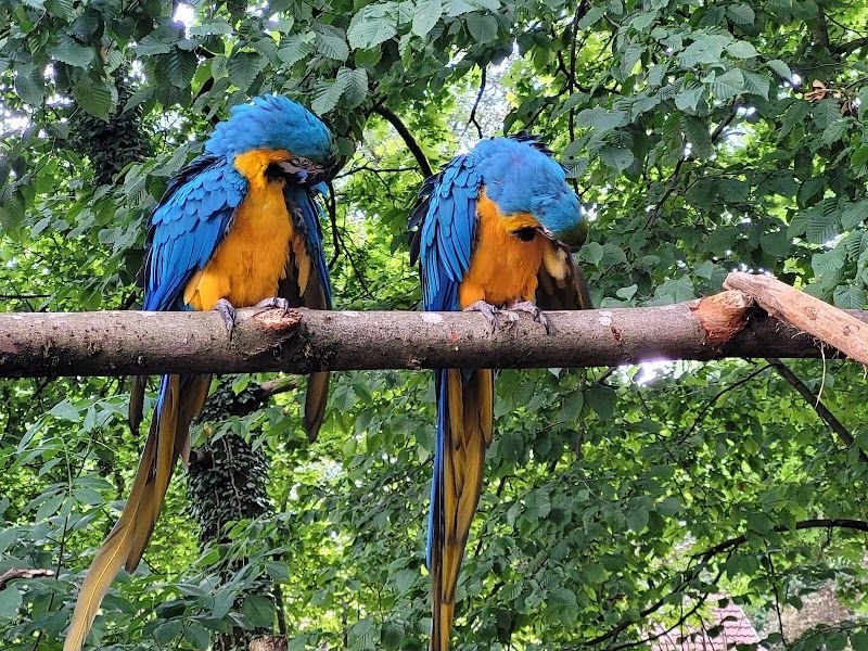 Tiergarten Wels (Wels Zoo)