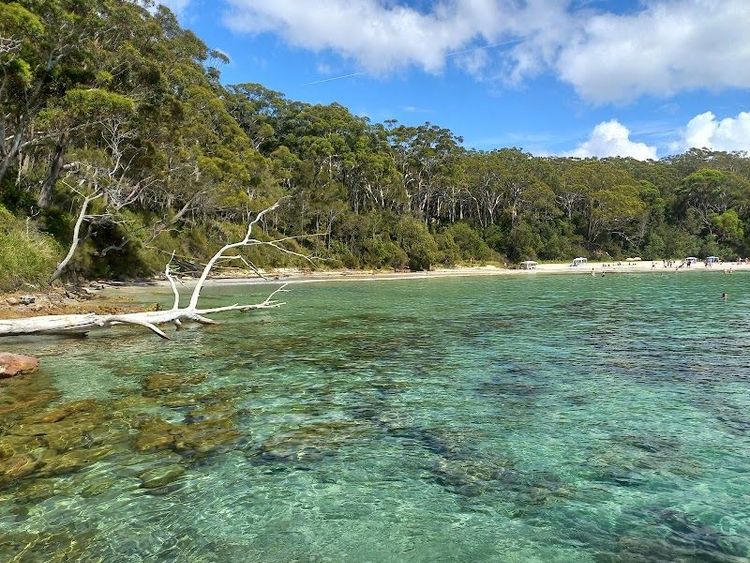 Blenheim Beach Jervis Bay - Vincentia - Australia