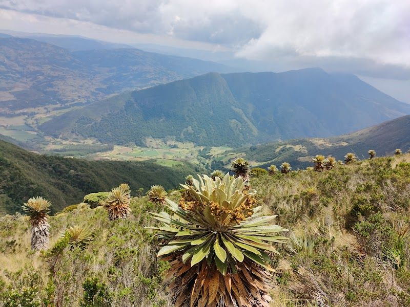 Hiking in the Iguaque National Park