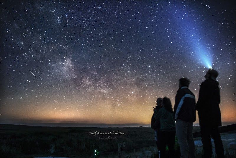 Explore De Boschplaat Nature Reserve