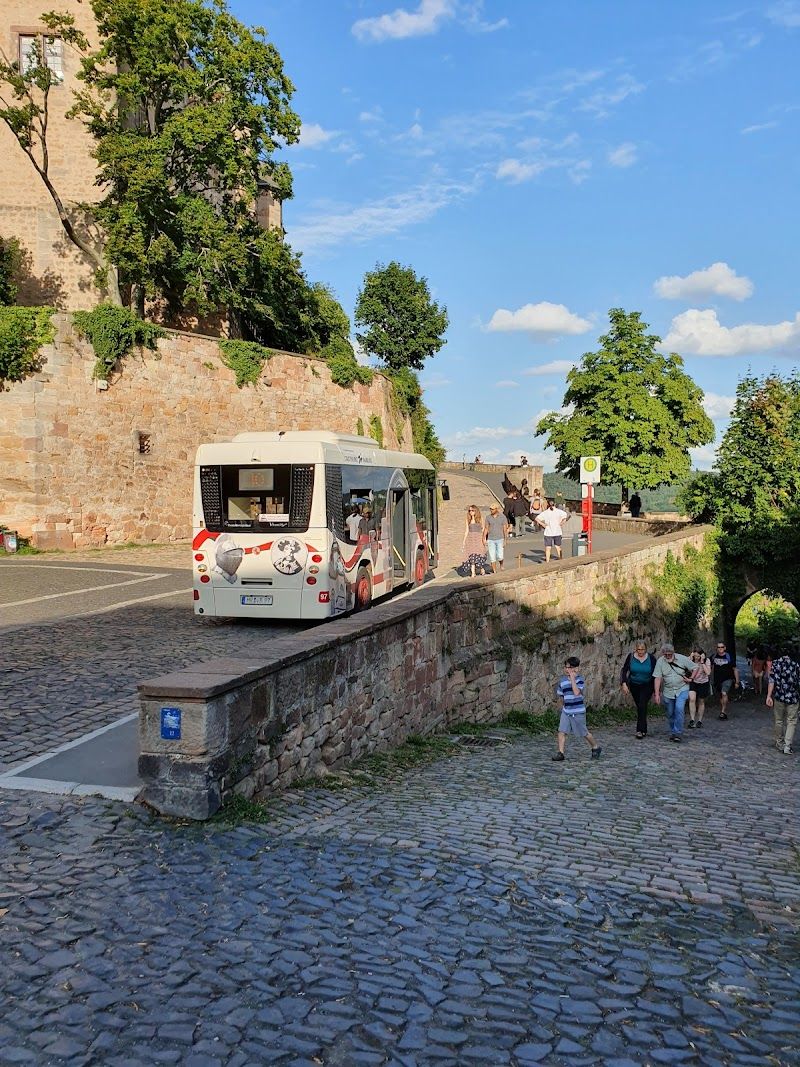 Explore the Marburg Castle Landgrafenschloss