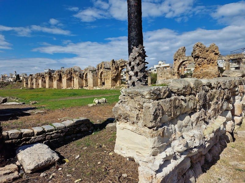 Visit the Al-Bass Archaeological Site