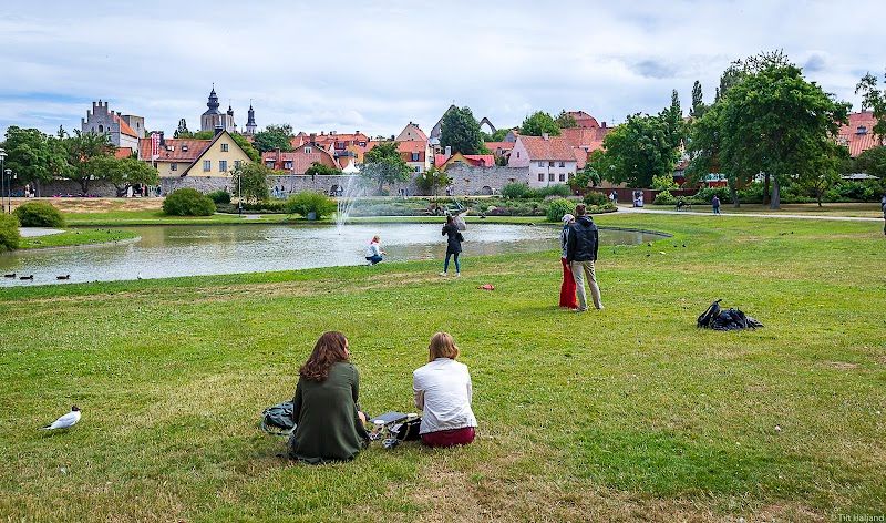 Explore Visby City Wall