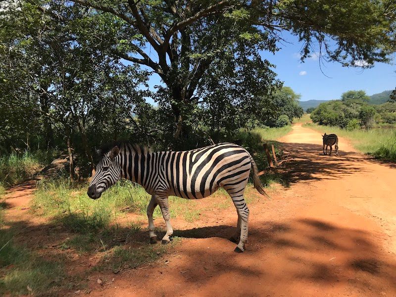 Mlilwane Wildlife Sanctuary