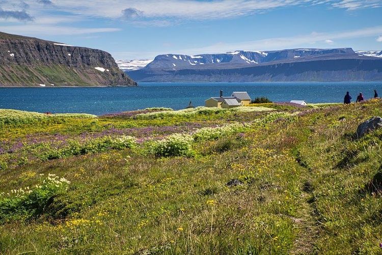 Explore Hornstrandir Nature Reserve - Ísafjörður - Iceland
