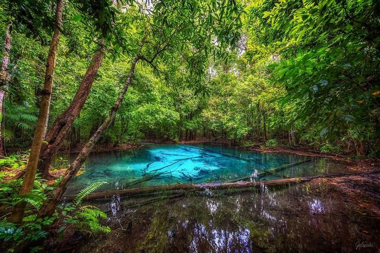 Exploring the Emerald Pool and Hot Springs - Khlong Thom Nuea - Thailand