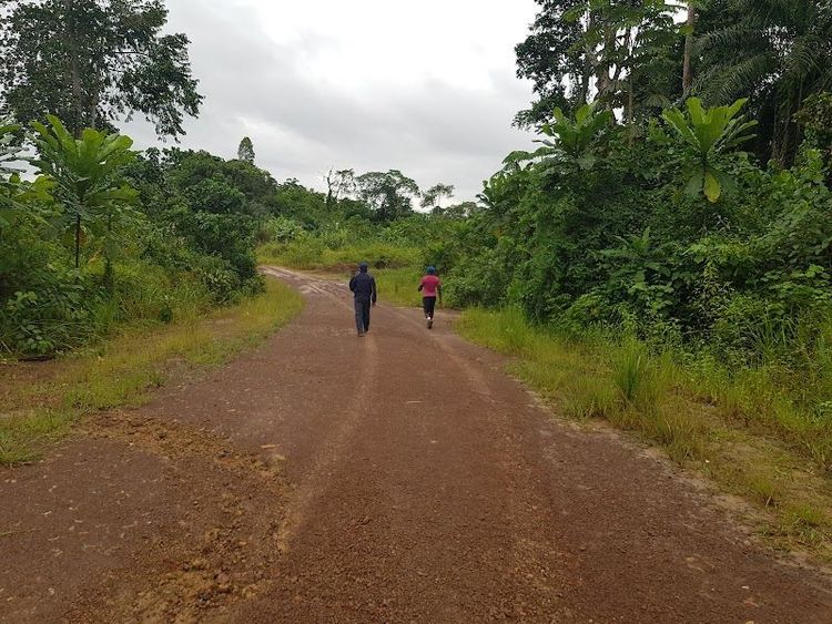 Explore Akanda National Park - Libreville - Gabon