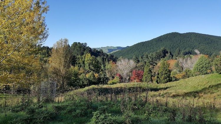 Explore Eastwoodhill Arboretum - Ngatapa - New Zealand