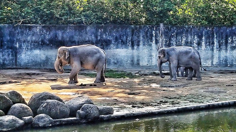 Taiping Zoo and Night Safari