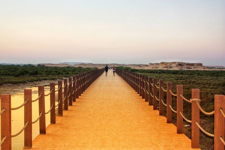 Purple Island Beach - Al Khor - Qatar