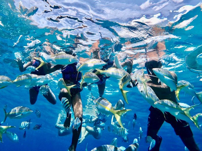 Snorkeling at Sosúa Beach