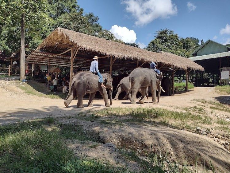 Lampang Elephant Conservation Center - Lampang - Thailand