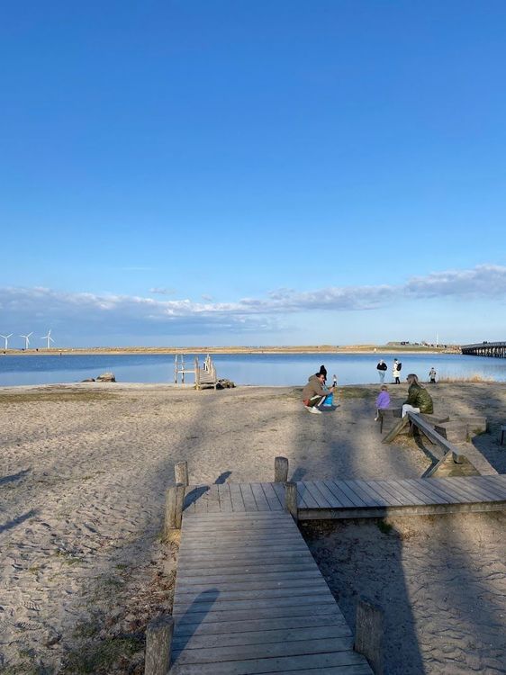 Walk along the Amager Strandpark promenade - København - Denmark