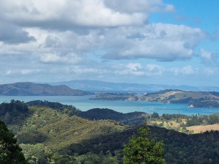 Eyefull Tower - Coromandel - New Zealand