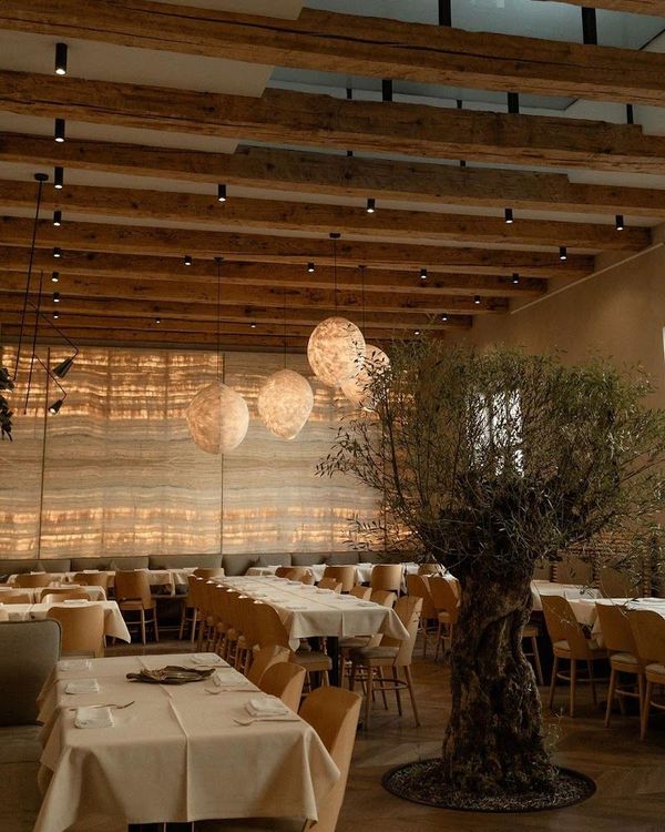 Samsara Foodhouse - Cluj-Napoca - Romania