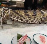 Bei Hai Te Se Seafood DaPai Dang