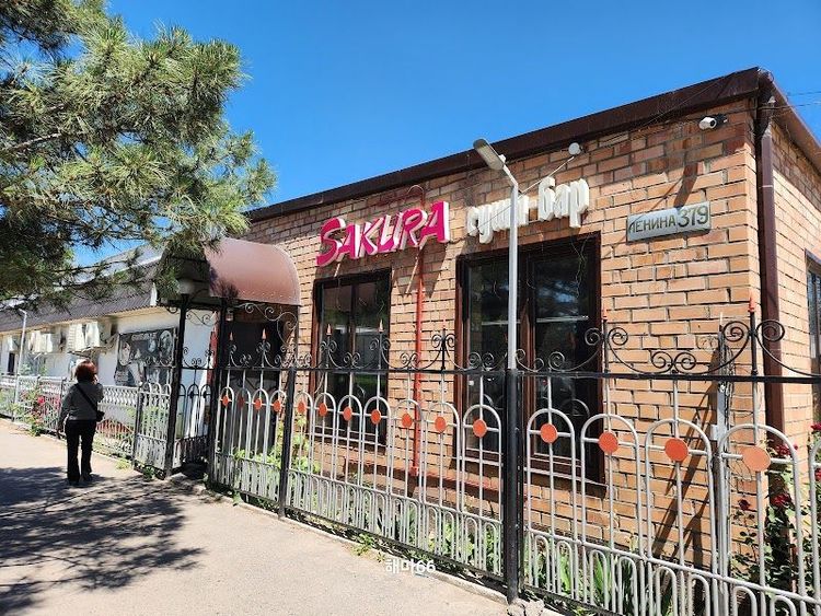 Sakura - Tokmak - Kyrgyzstan