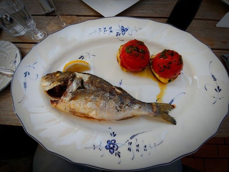 Fish Club - Kaliningrad - Russia