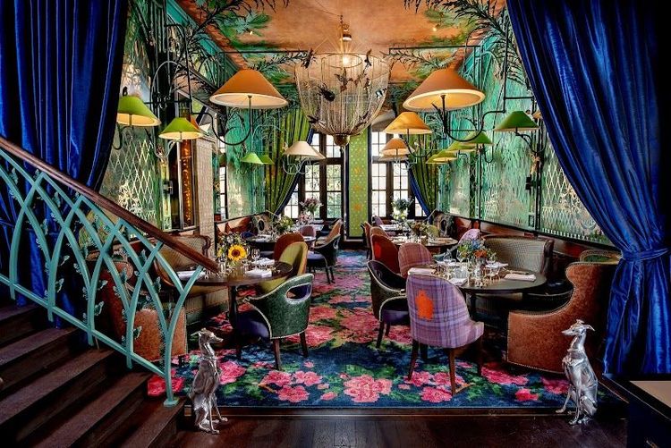 Szara Gęś - Kraków - Poland