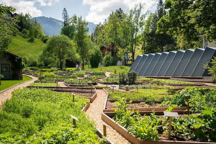 Hotel Hof Weissbad Restaurant - Weissbad - Switzerland