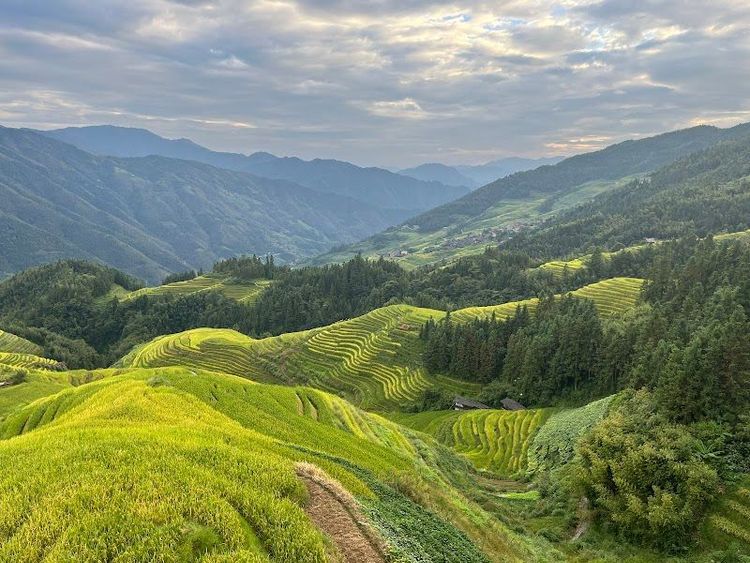 Li An Lodge Restaurant - Guilin - China