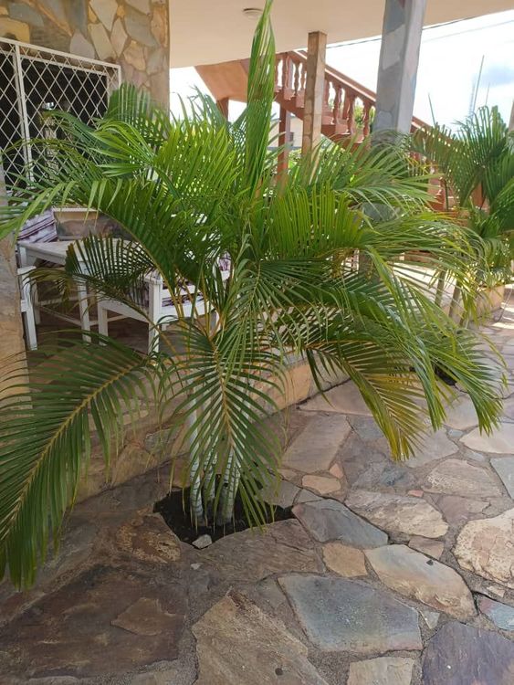 Chez Fanny - Kpalimé - Togo