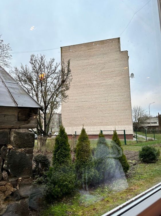 Zemnieka cienasts - Jēkabpils - Latvia