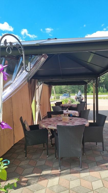 Jautrais ods - Kainaiži - Latvia