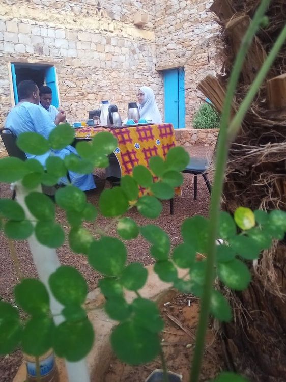 Maison d’Hôtes Rachid - Chinguetti - Mauritania