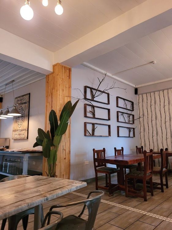 Thorn Tree - Francistown - Botswana