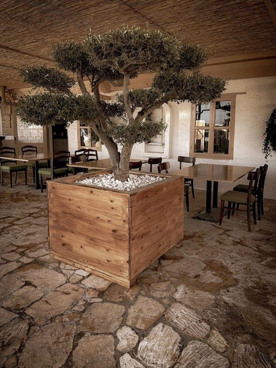 To Liodentro - Deryneia - Cyprus