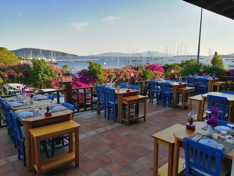 Orfoz - Bodrum - Türkiye