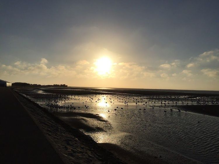 Flamingo Bay Restaurant & Bar