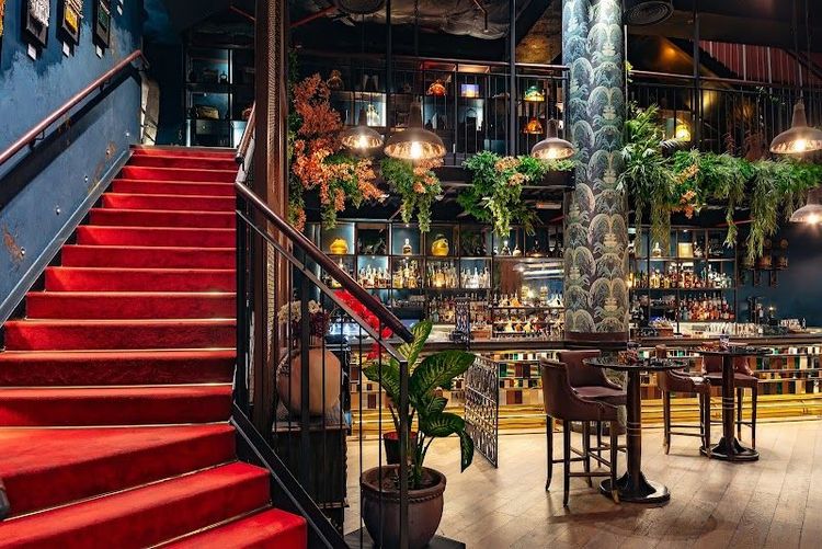 Coya Abu Dhabi - Abu Dhabi - United Arab Emirates