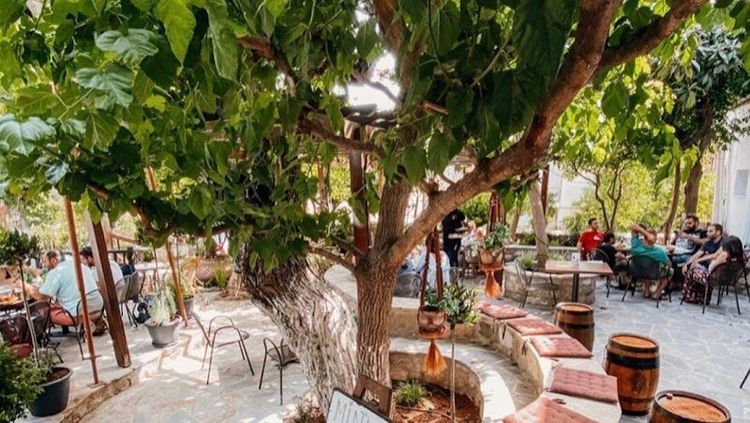 The Bunch of Grapes Restaurant - Pissouri - Cyprus