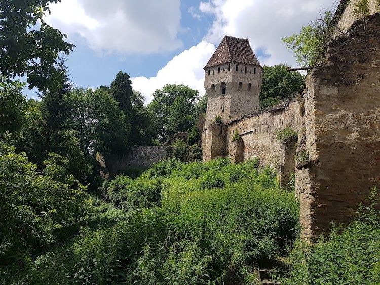 Casa Georgius Krauss