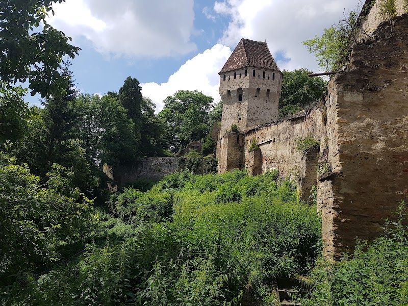 Casa Georgius Krauss