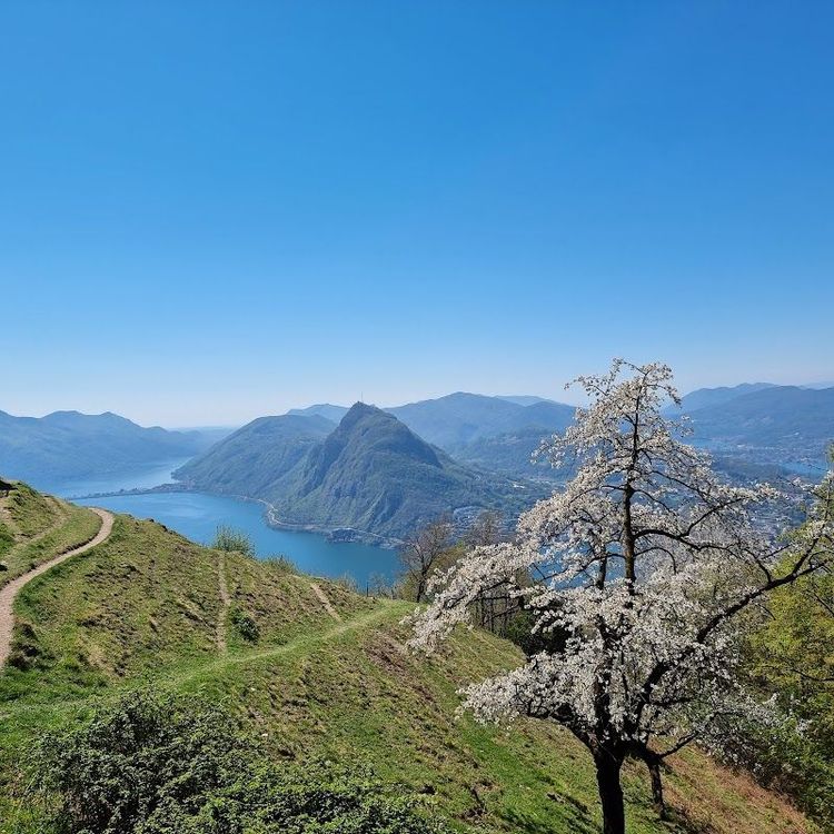 Monte Brè - Lugano - Switzerland - Booked ai