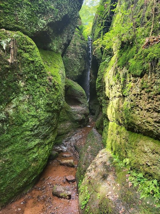 Dragon Gorge - Eisenach - Germany - Booked ai