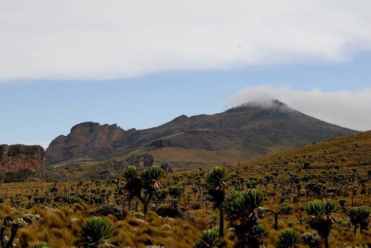 Mount Elgon - Mbale - Uganda - Booked ai