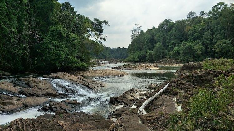 Taman Negara Endau-Rompin - Johor - Malaysia - Booked ai