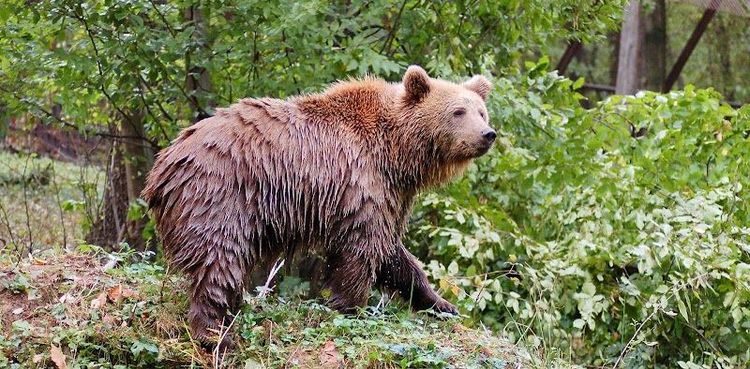 Miskolc Zoo - Miskolc - Hungary - Booked ai