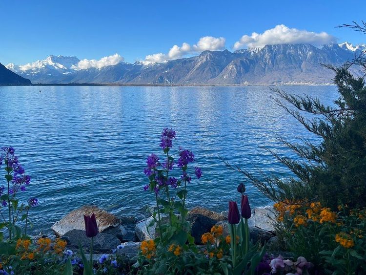 Quais de Montreux - Montreux - Switzerland - Booked ai